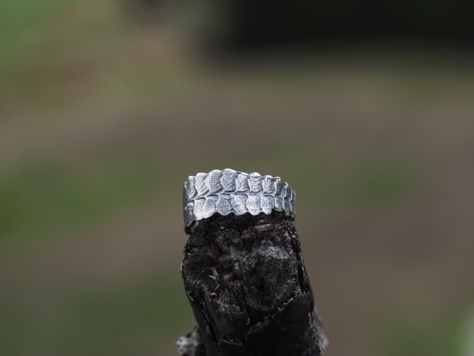 Farn Ring Silber Grösse 16/56